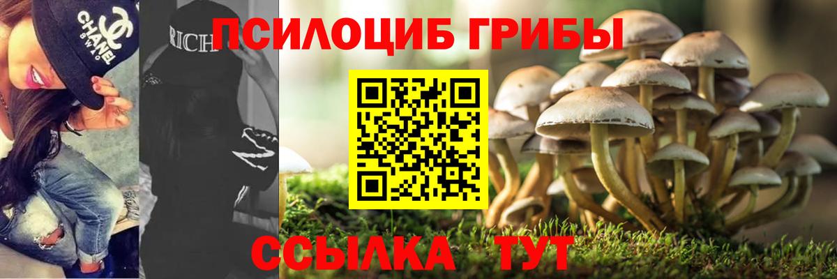 Орёл  Галлюциногенные грибы прущие грибы  Псилоцибиновые грибы Psilocybe  Вход с VPN 
