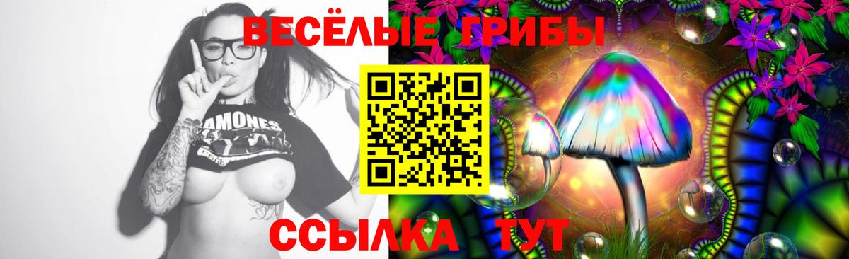 Галлюциногенные грибы ЛСД Орёл